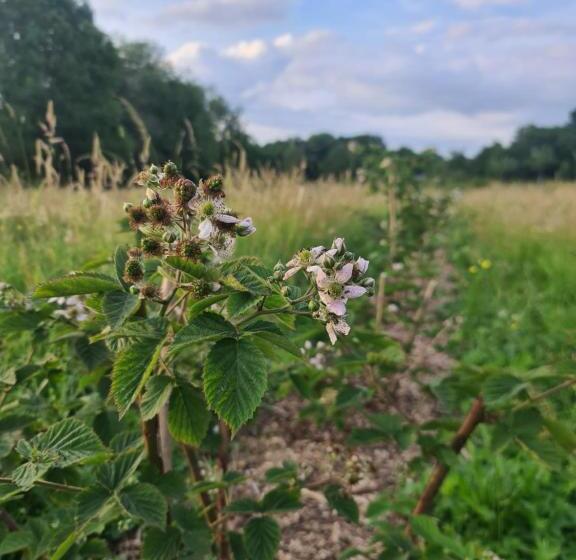 호텔 Chambre à La Ferme, Les Vergers Du Muscardin