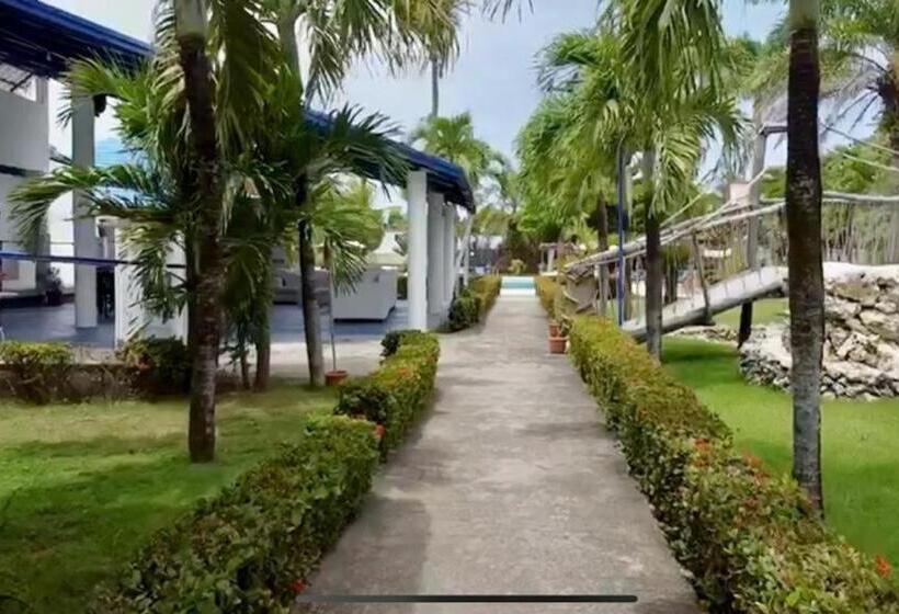 Отель Diversity