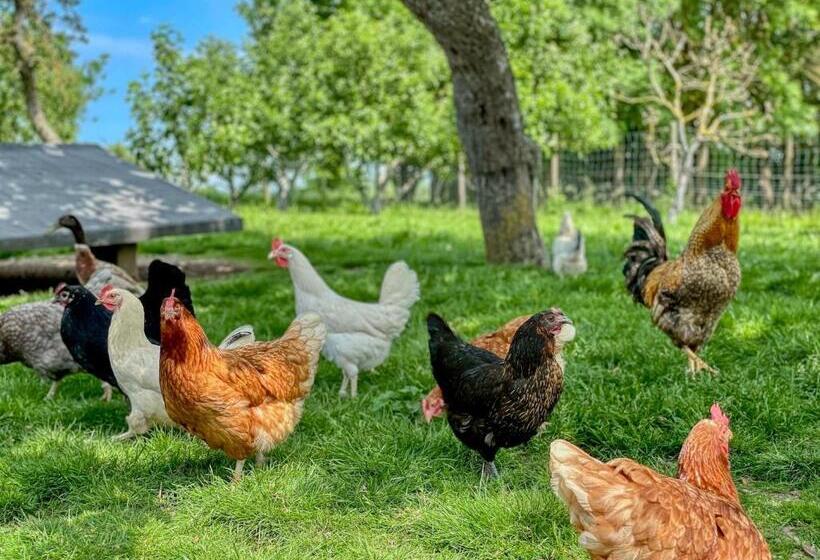 호텔 Ferienlandhof Mistorf