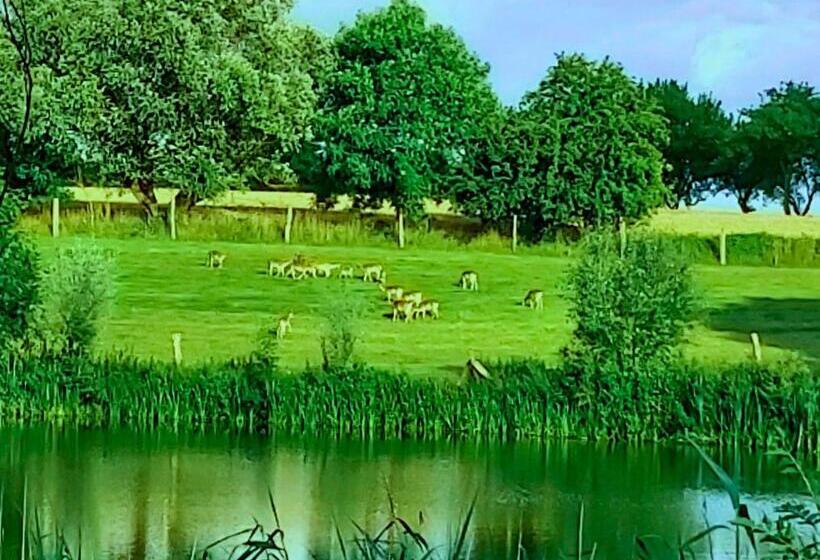 호텔 Ferienlandhof Mistorf