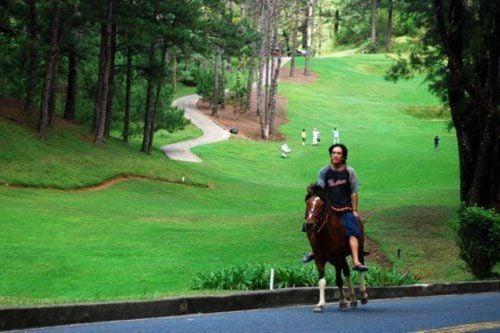 Otel Forest View Room 554,privately Owned At The Forest Lodge