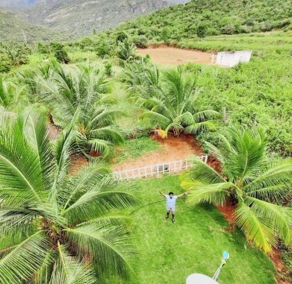 בית מלון כפרי Jungle Valley Farms