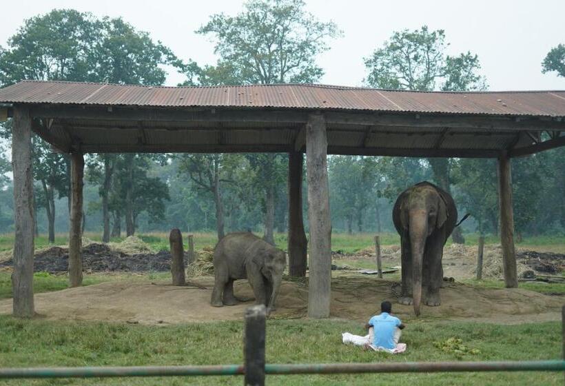 Hotel Sauraha Village