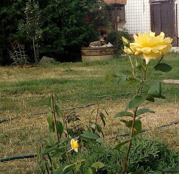 Отель Statek U Sýkorky