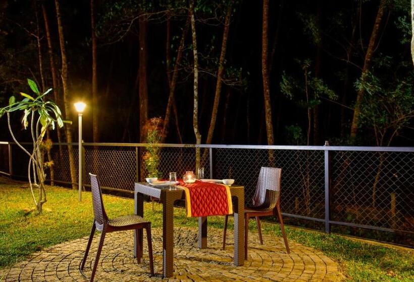 酒店 The Forrest Inn