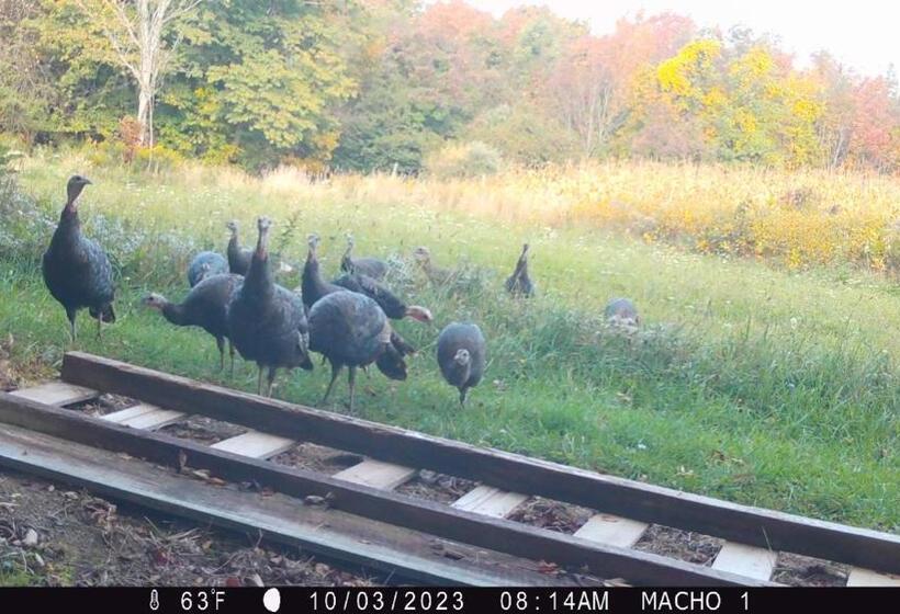 בית מלון כפרי The Stable At Windmill Ridge Farm