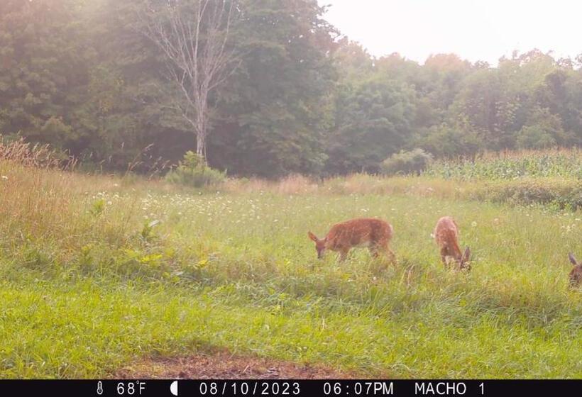 בית מלון כפרי The Stable At Windmill Ridge Farm