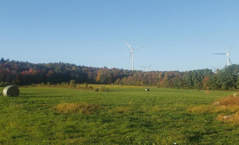 בית מלון כפרי The Stable At Windmill Ridge Farm