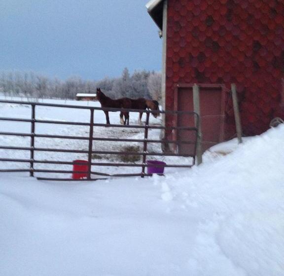 בית מלון כפרי The Stable At Windmill Ridge Farm