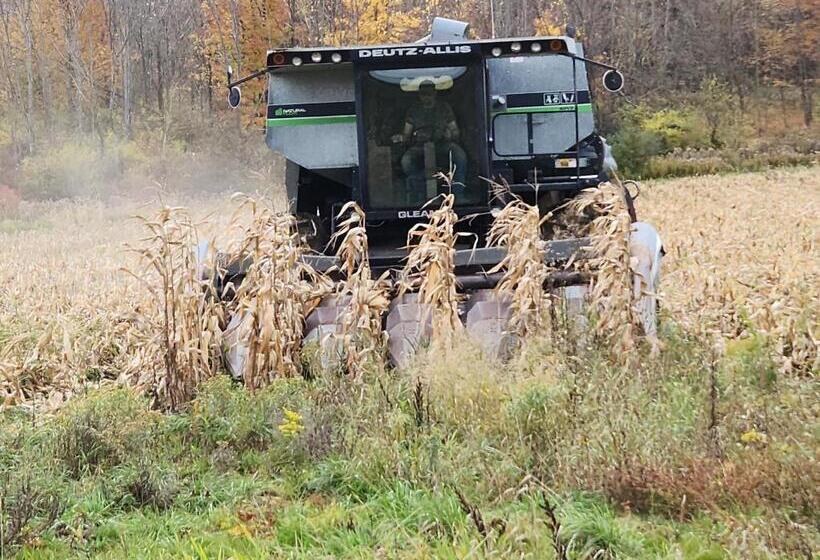 בית מלון כפרי The Stable At Windmill Ridge Farm