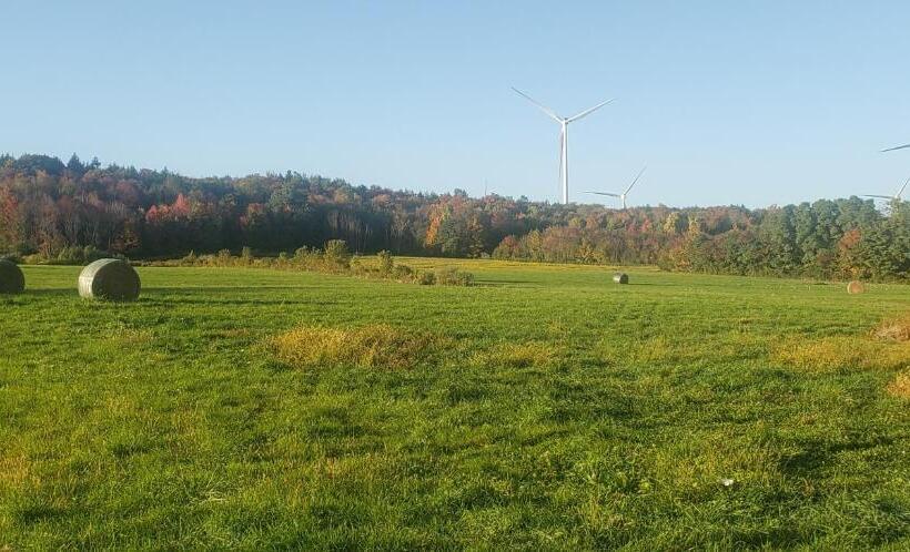 בית מלון כפרי The Stable At Windmill Ridge Farm