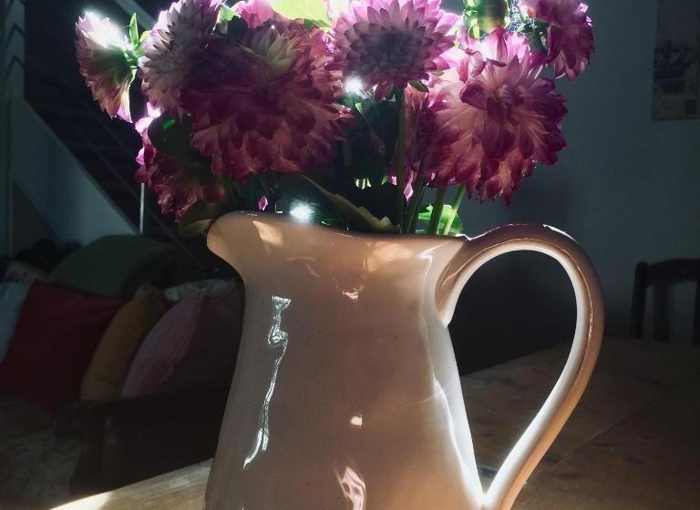 פנסיון Bundanoon Bijou Southern Highlands Accommodation