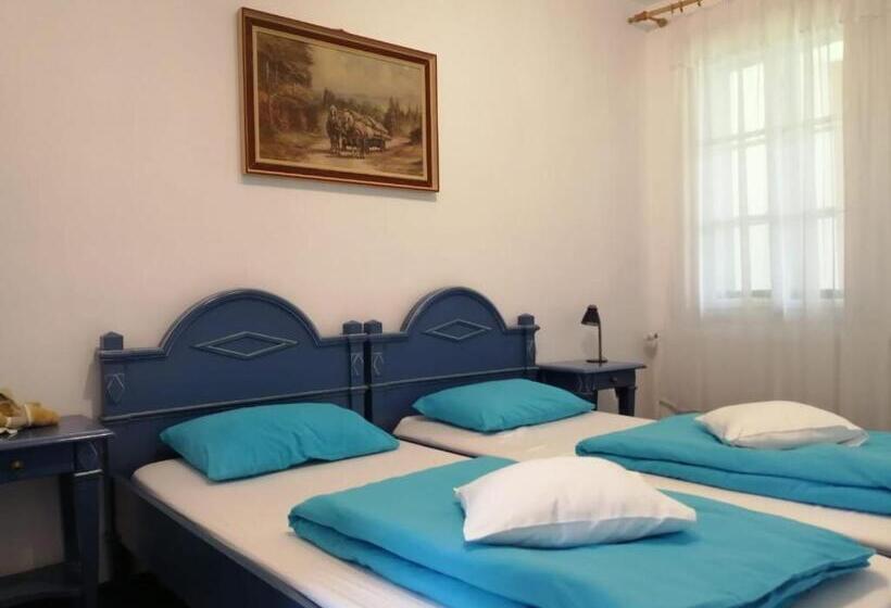 بنسيون Cabana Basmelor Cu Ciubar