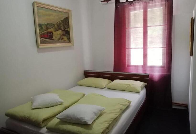 펜션 Cabana Basmelor Cu Ciubar