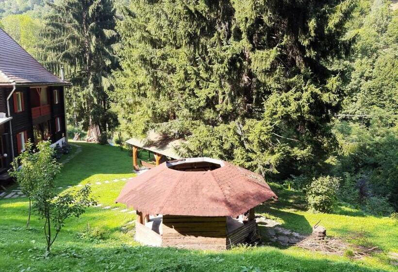 펜션 Cabana Basmelor Cu Ciubar