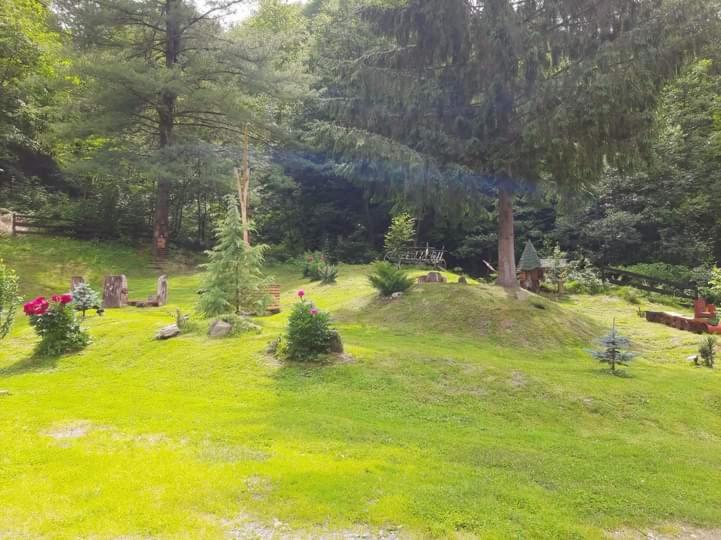 펜션 Cabana Basmelor Cu Ciubar