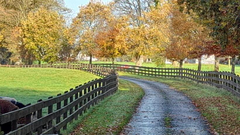 פנסיון Holywell Lodge