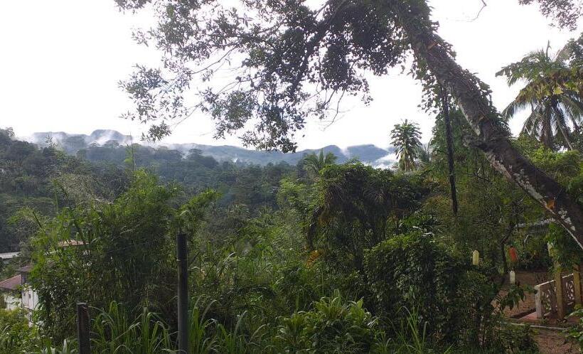 Пансион Lions Villa & Resort