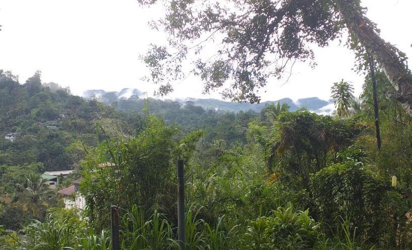 Пансион Lions Villa & Resort