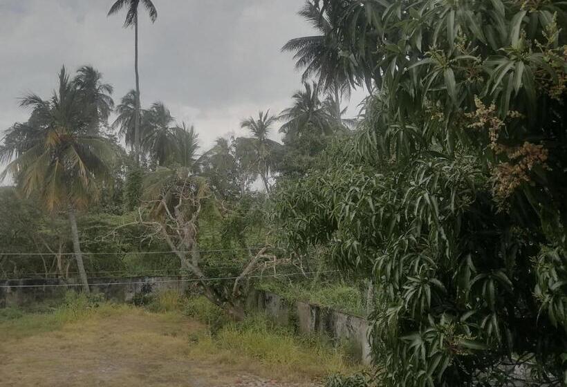 Пансион Sunshine Guest House