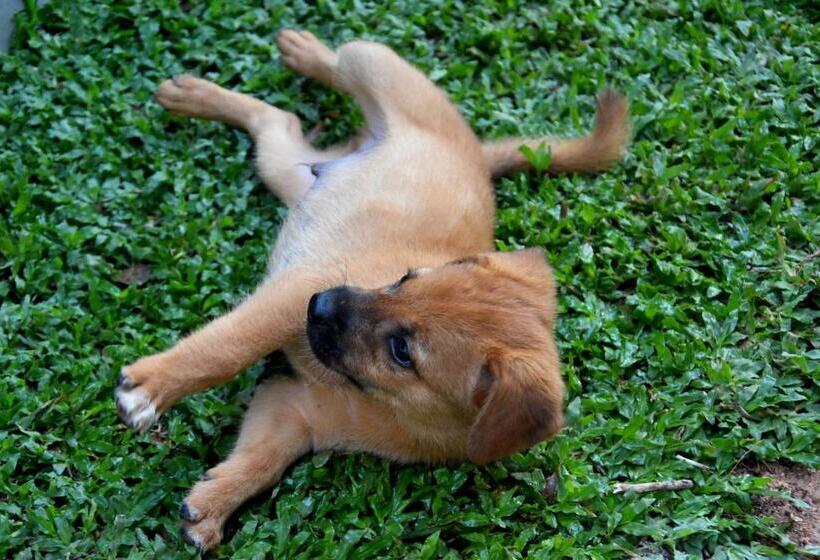 펜션 Villa Weligama Gedara