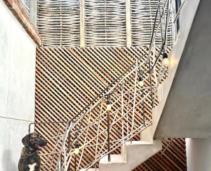 فندق صغير Baja House