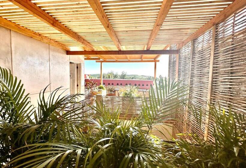 فندق صغير Baja House