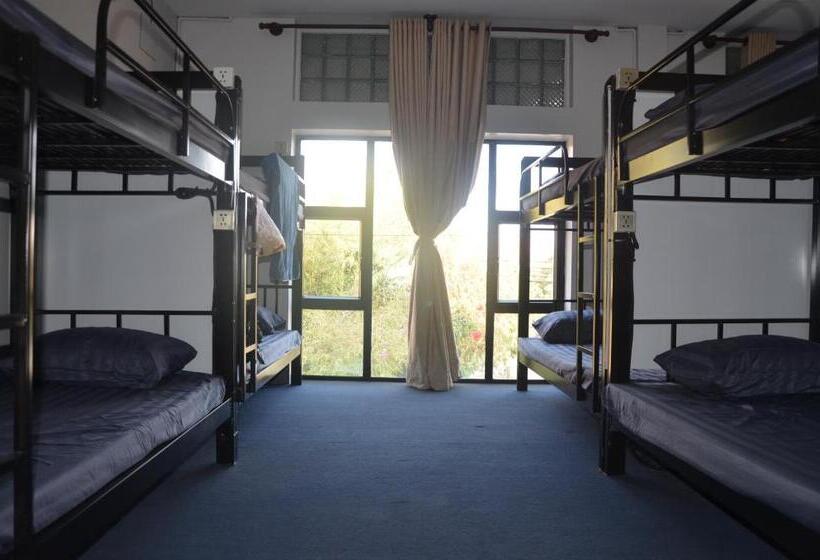 הוסטל Cosmos Guesthouse Snack Bar