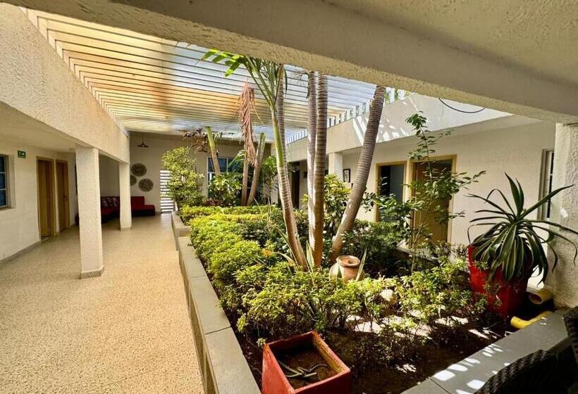 住宿加早餐 Casa De Huéspedes Fuminaya