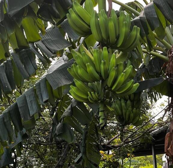 住宿加早餐  On Time View