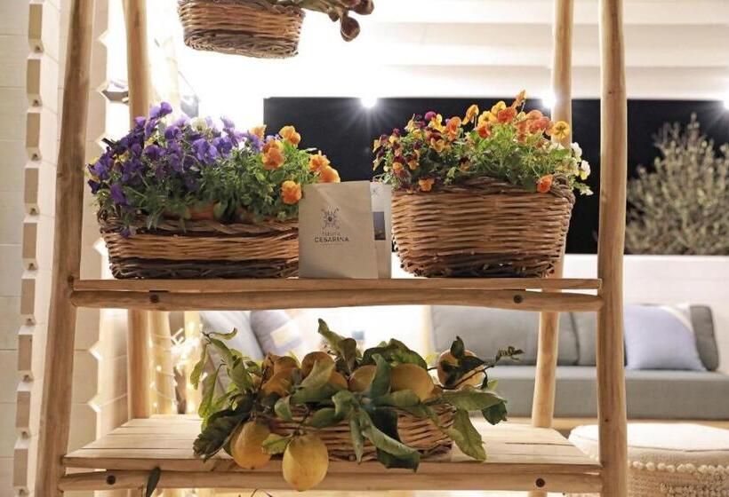 Cesarina Suite Apartment