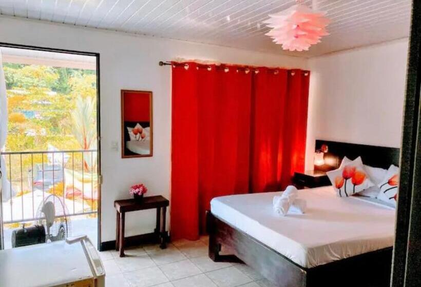 בית מלון כפרי Ace S Place