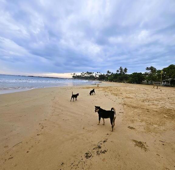 호텔 Balance Beach Resort