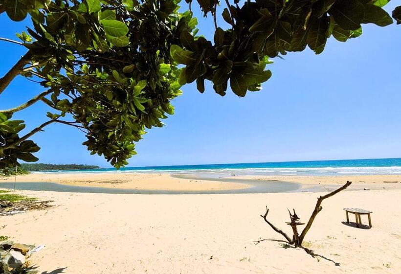 호텔 Balance Beach Resort