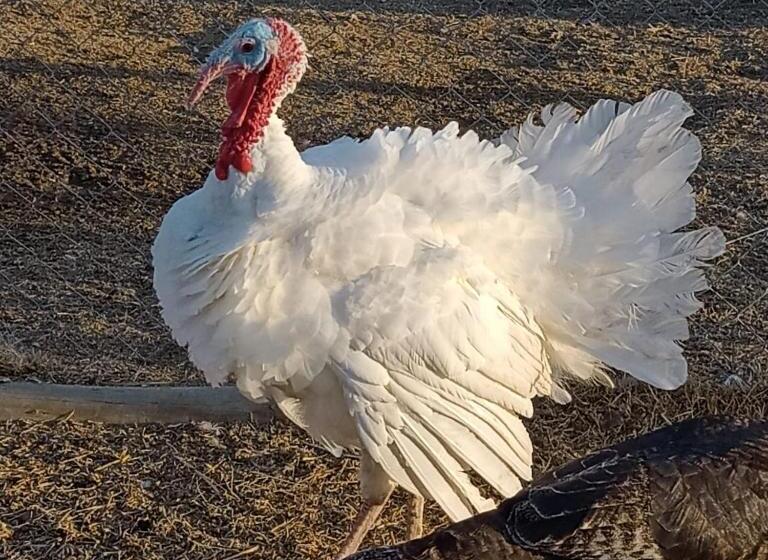 酒店 Complejo Campo Alegre