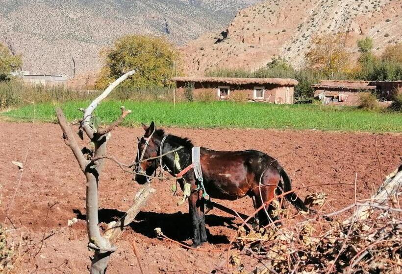 هتل Gite Chez Ali Agouti Maison Berbère