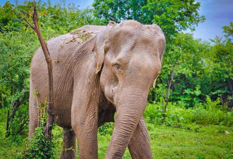 Отель Nice View Bungalow