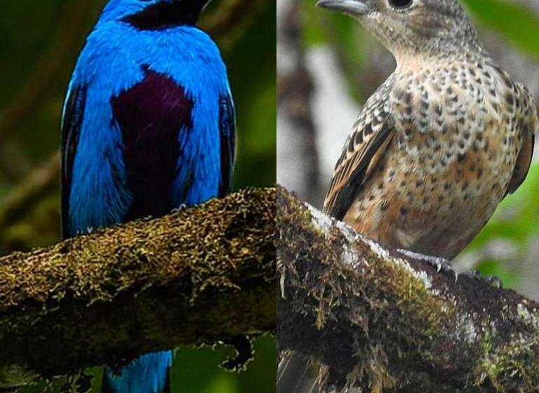 酒店 Kipara El Valle