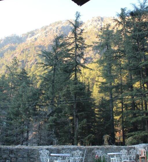 هتل Mount Vista Huts And Cafe