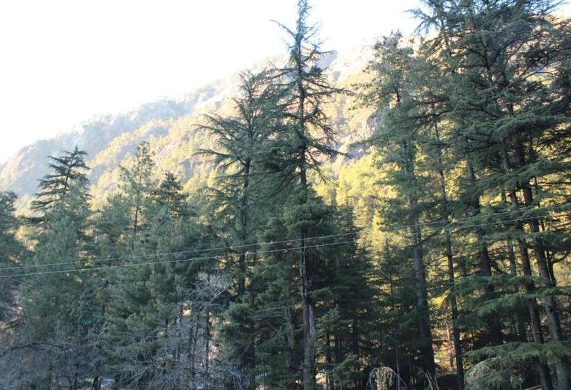 هتل Mount Vista Huts And Cafe