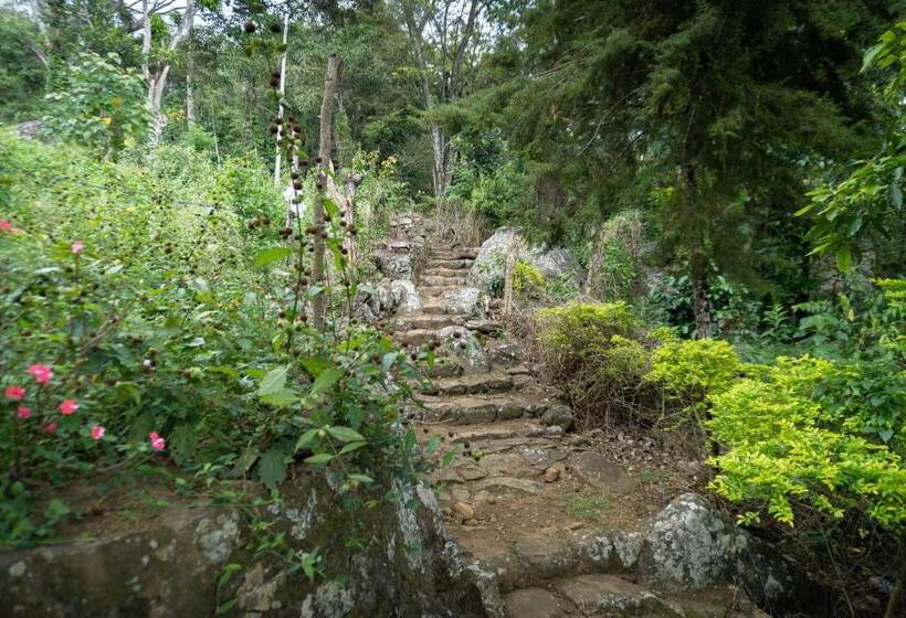 ホテル Beragala Serene Villa