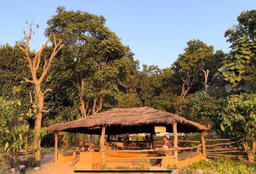 בית מלון כפרי The Siyona Resort