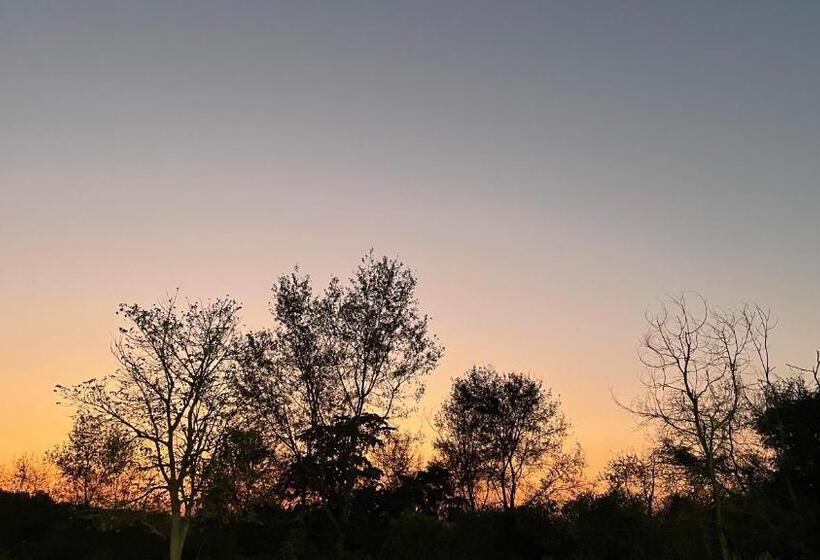 בית מלון כפרי The Siyona Resort