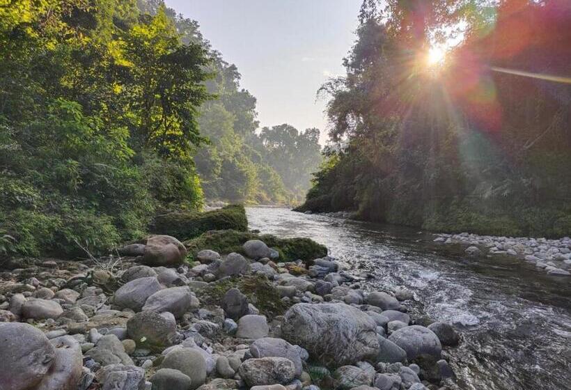 בית מלון כפרי The Siyona Resort