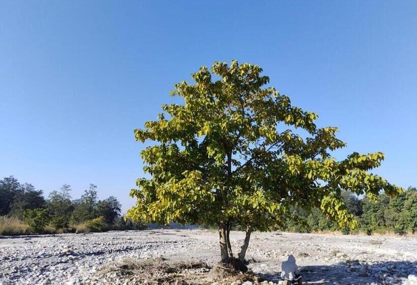 בית מלון כפרי The Siyona Resort