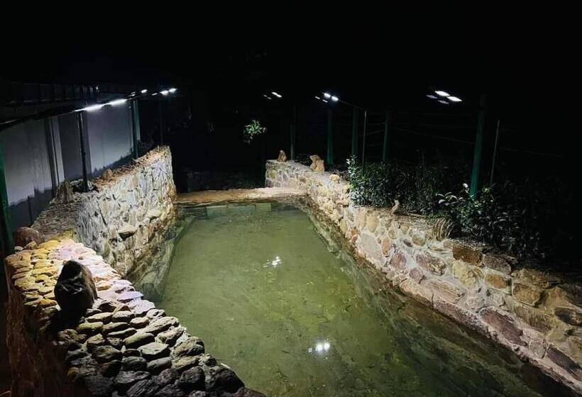 ホテル Triniton Holiday Villas