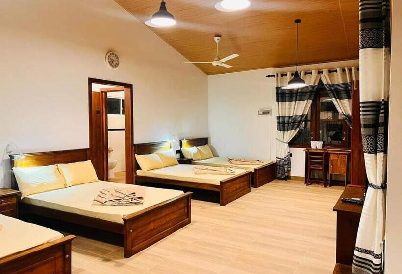 ホテル Triniton Holiday Villas