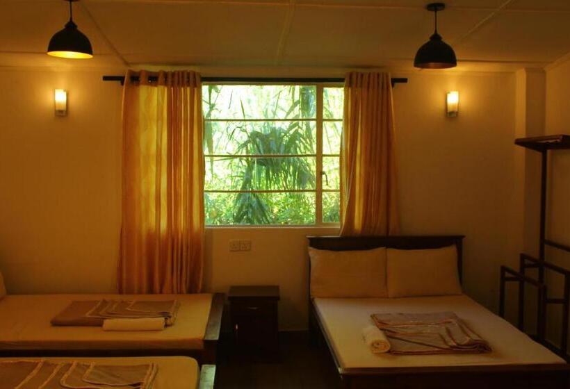 ホテル Triniton Holiday Villas