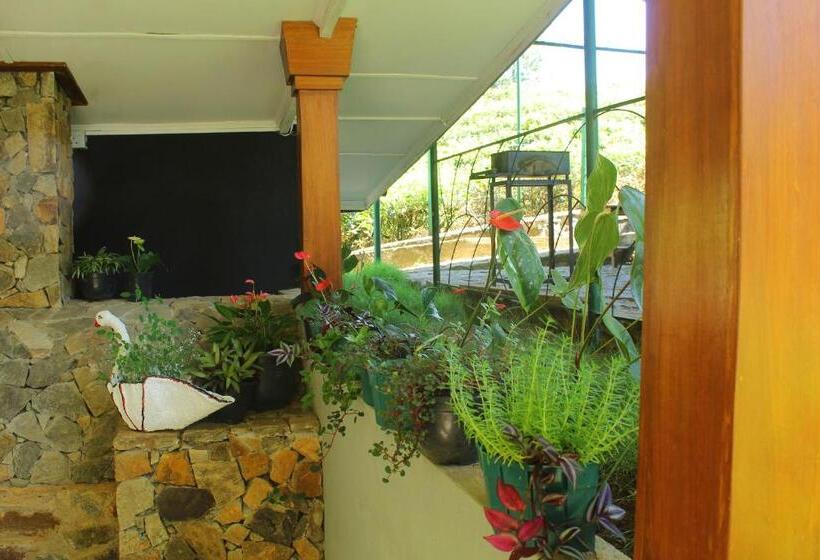 ホテル Triniton Holiday Villas