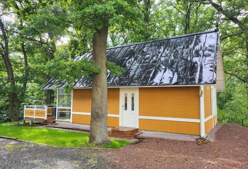 פנסיון Beautiful Lakefront House